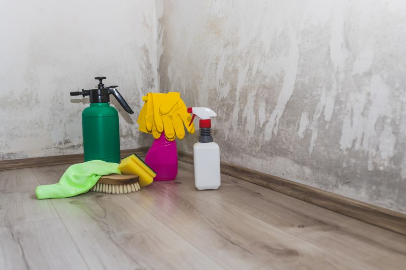 Mold Removal Pros