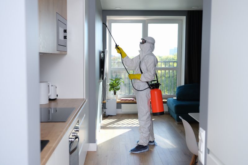 Mold Mitigation Service detail