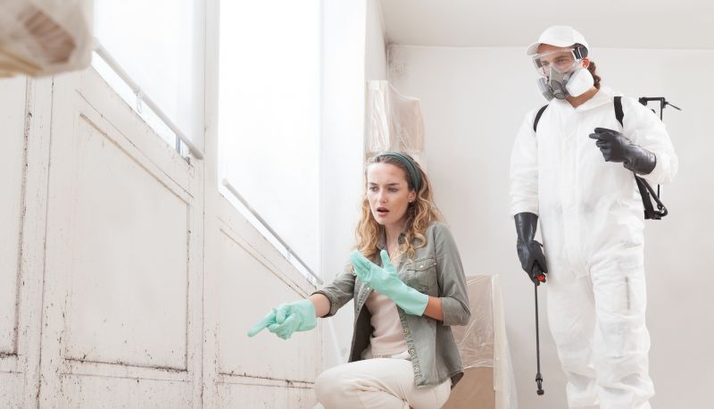 Mold Removal Pros