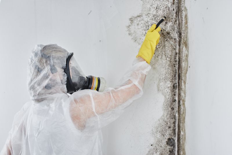 Mold Removal Pros